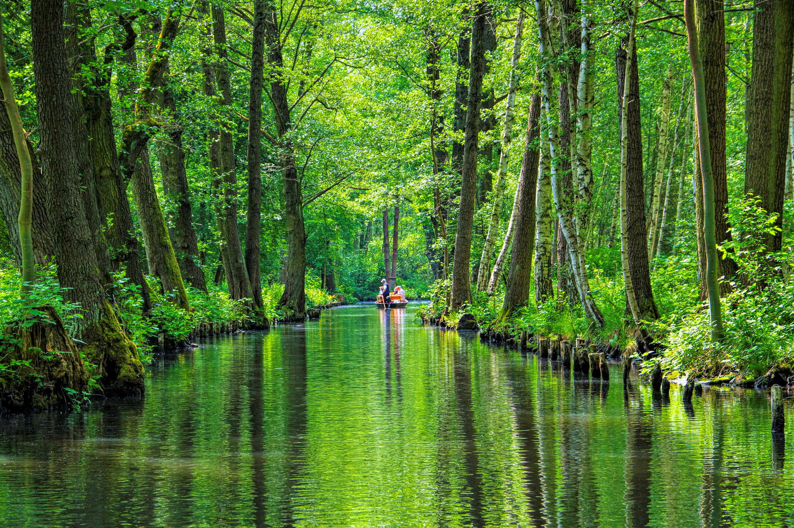 The Spreewald Cycle Tour Cycling Holidays