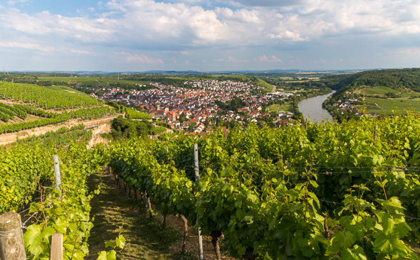 The Neckar Cycle Route | Cycling Holidays