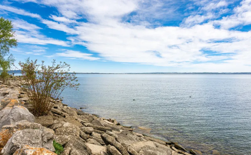 Lake Constance Arbon