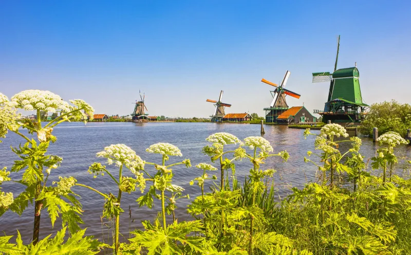 Zaanse Schans