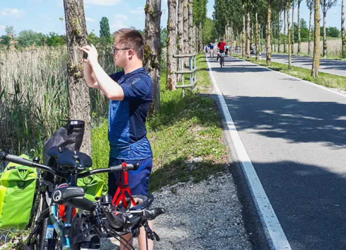 Avenue to the island of Reichenau