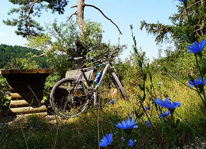 Cycling break in the Altmühltal Nature Park