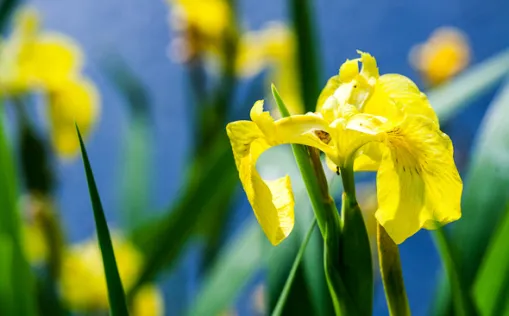 Radreisen im Frühling