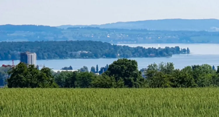 Reisebericht_Blick-auf-Untersee