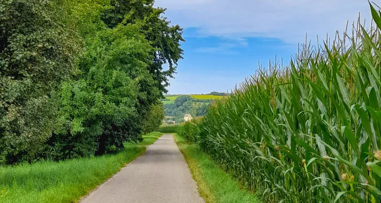 Path of silence - Kocher-Jagst cycle path