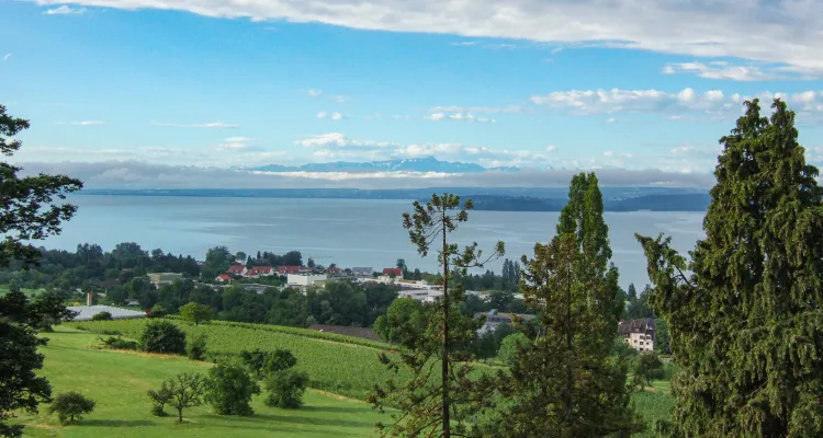 View of Lake Constance, view of the Alps