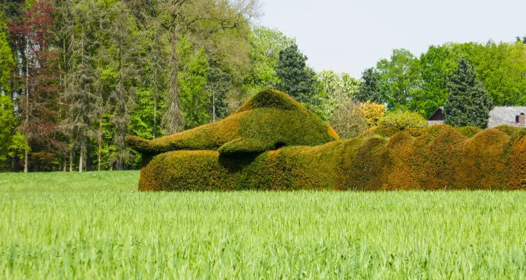 Kunstvoll geschnittene Hecke