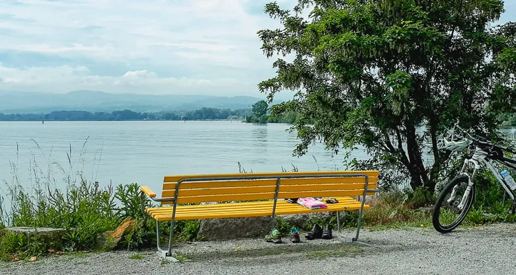 Lake Constance cycle path with tandem
