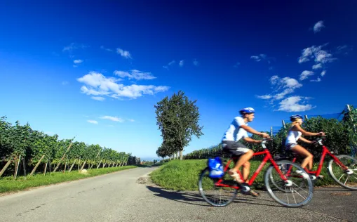 Kurztour am Bodensee mit dem Rad