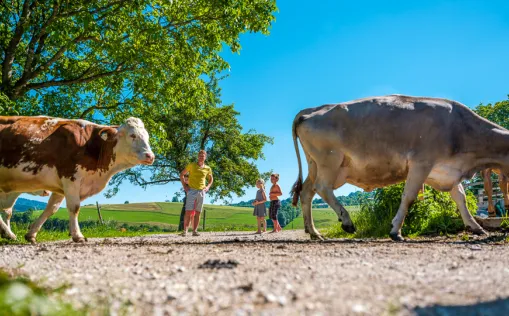 Radurlaub auf dem Bauernhof in Österreich