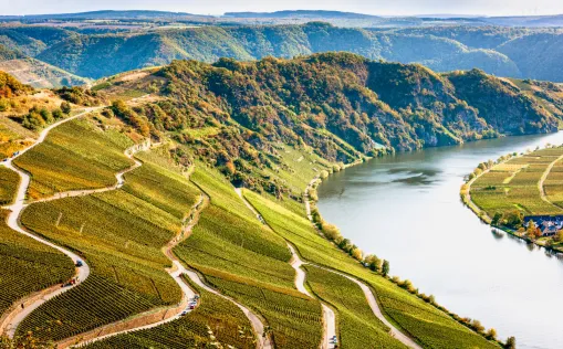 Piesport, Weinberge, Mosel, Landschaft