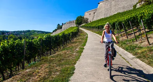 Main-Radtour von Würzburg nach Mainz