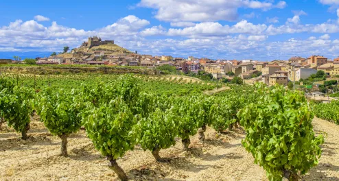 Radtour durch La Rioja