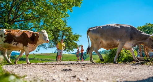 Radurlaub auf dem Bauernhof in Österreich