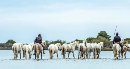 Cycling Tour Provence & Camargue